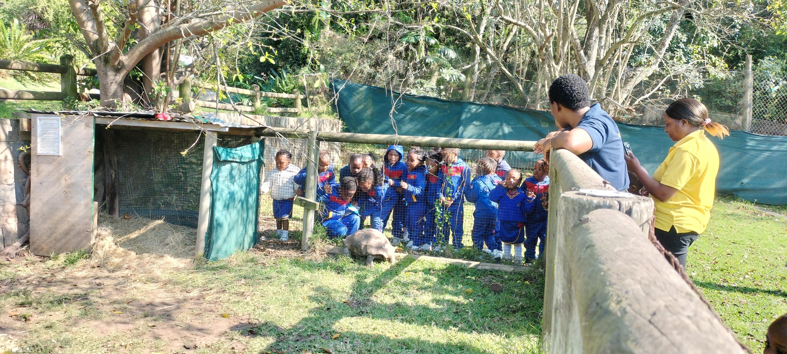 Children with animals